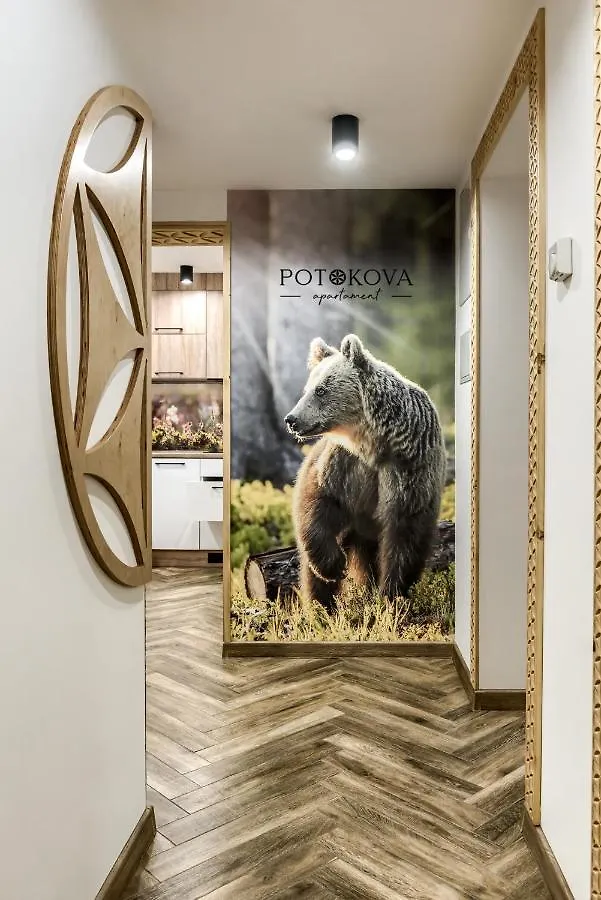 Potokova Apartament Centrum Zakopane Apartment