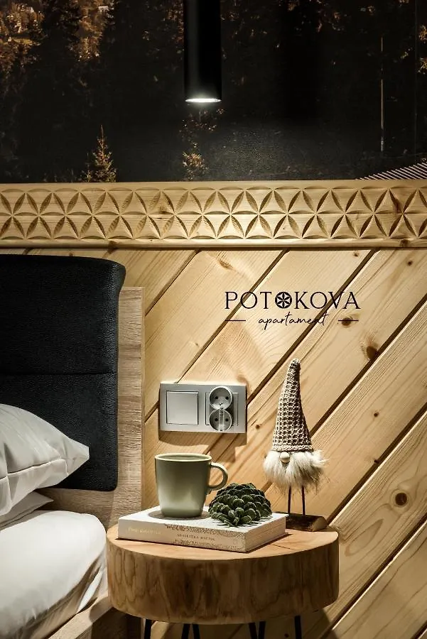 Apartment Potokova Apartament Centrum Zakopane Poland