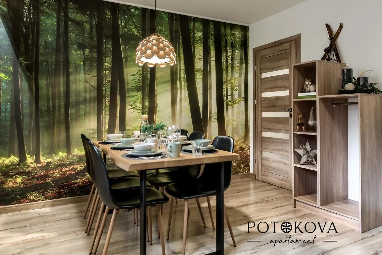 Potokova Apartament Centrum Zakopane