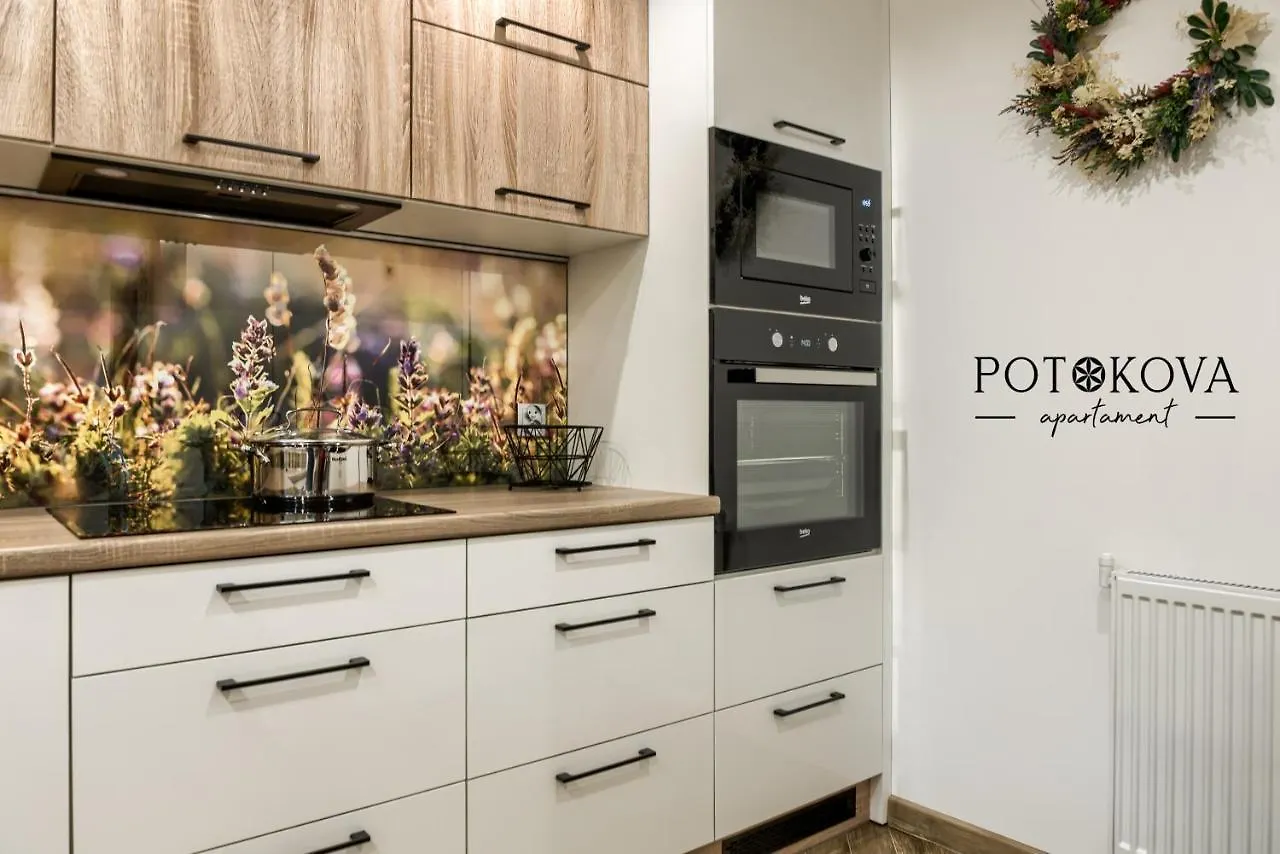 Potokova Apartament Centrum Zakopane