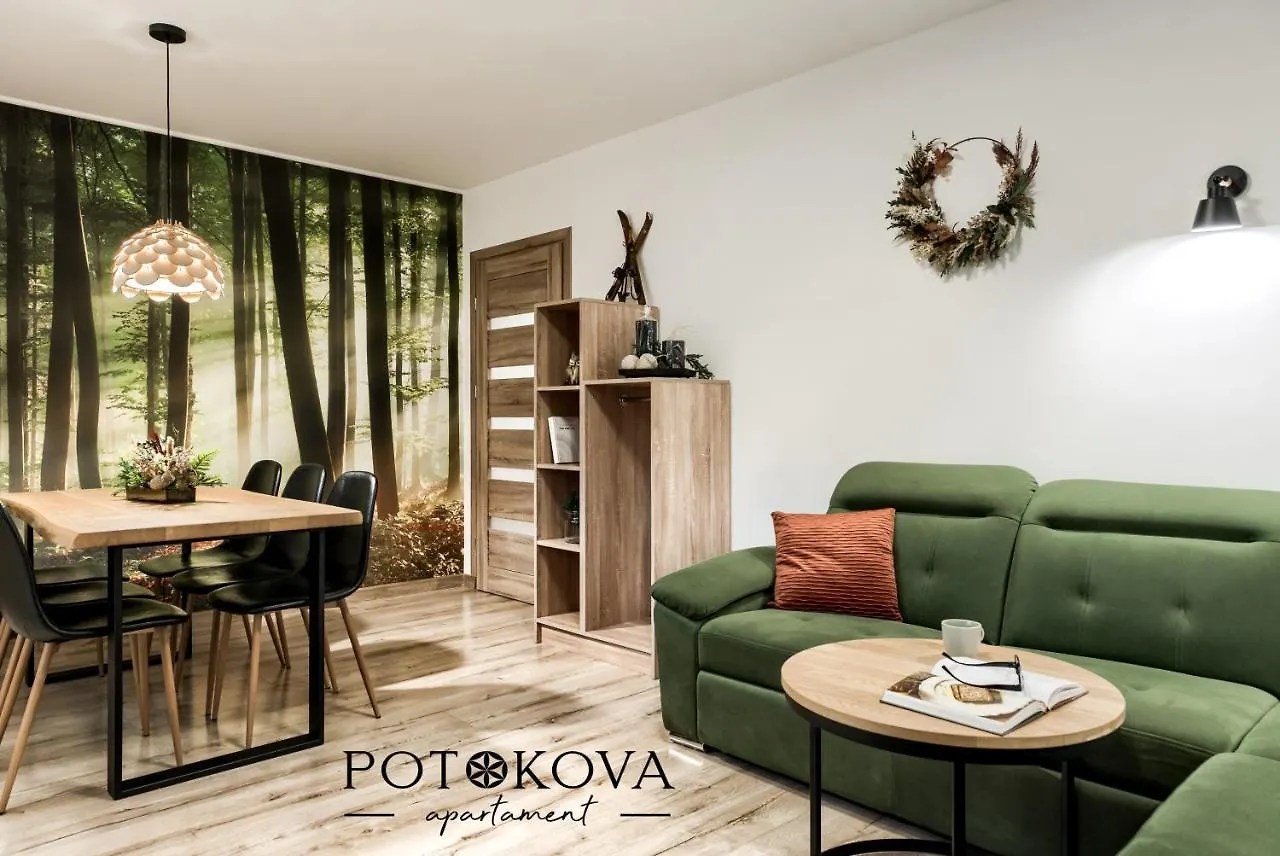 Potokova Apartament Centrum Zakopane Apartment