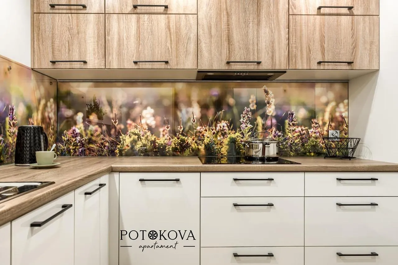 Potokova Apartament Centrum Zakopane 0*,