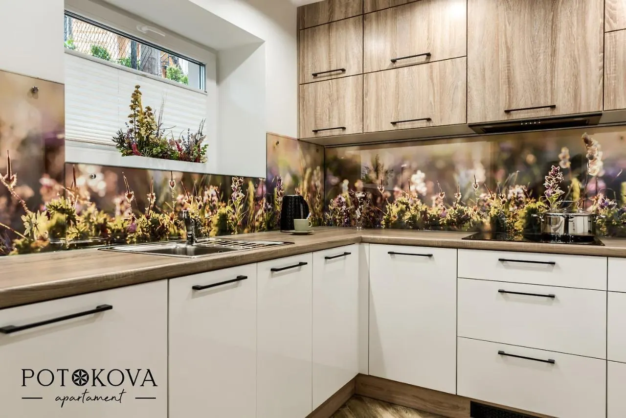 Potokova Apartament Centrum Zakopane